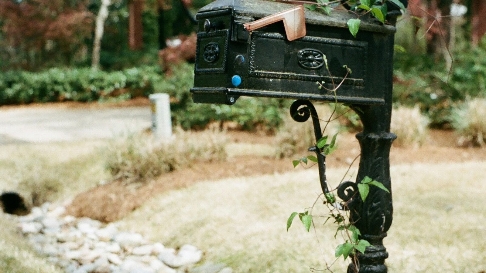 US Global Mail vs Traveling Mailbox: Which Is Better for Expats?